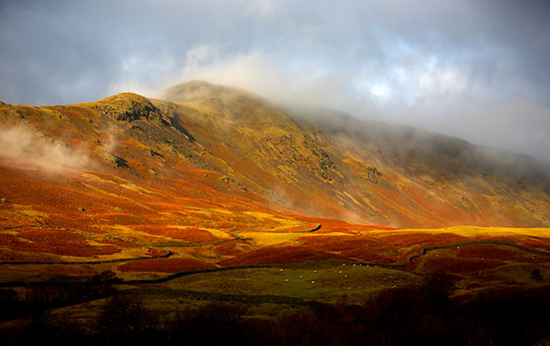 Made in Cumbria