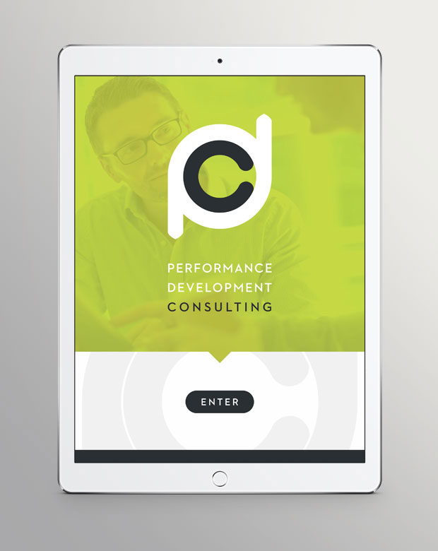 Performance Development Consulting landing page