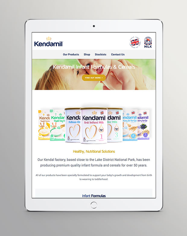 kendamil Website design
